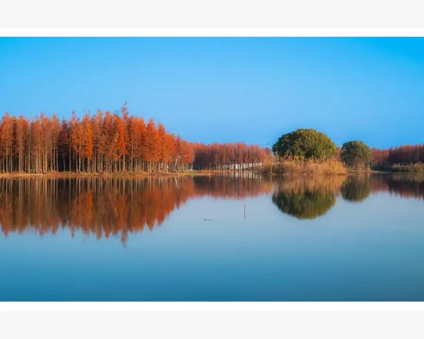 律师与会计师职业前景对比与选择建议